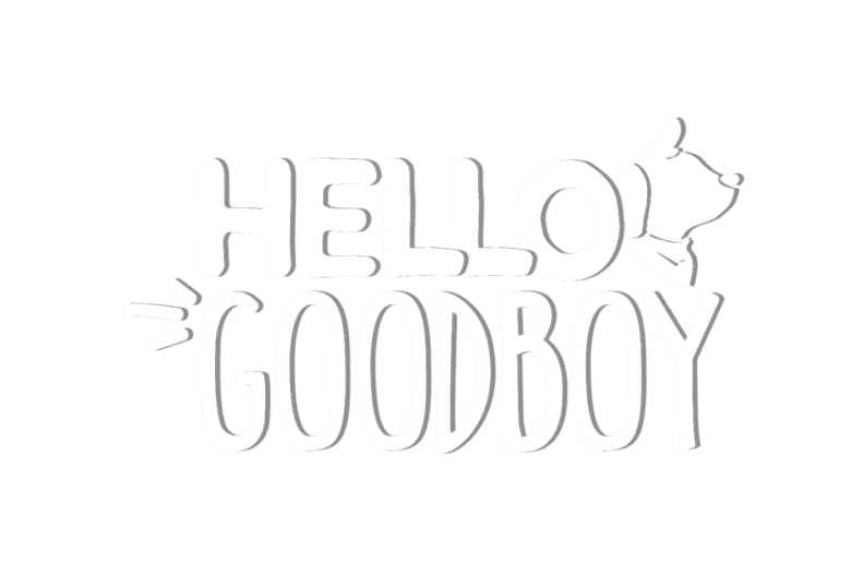 Hello Goodboy Trailer